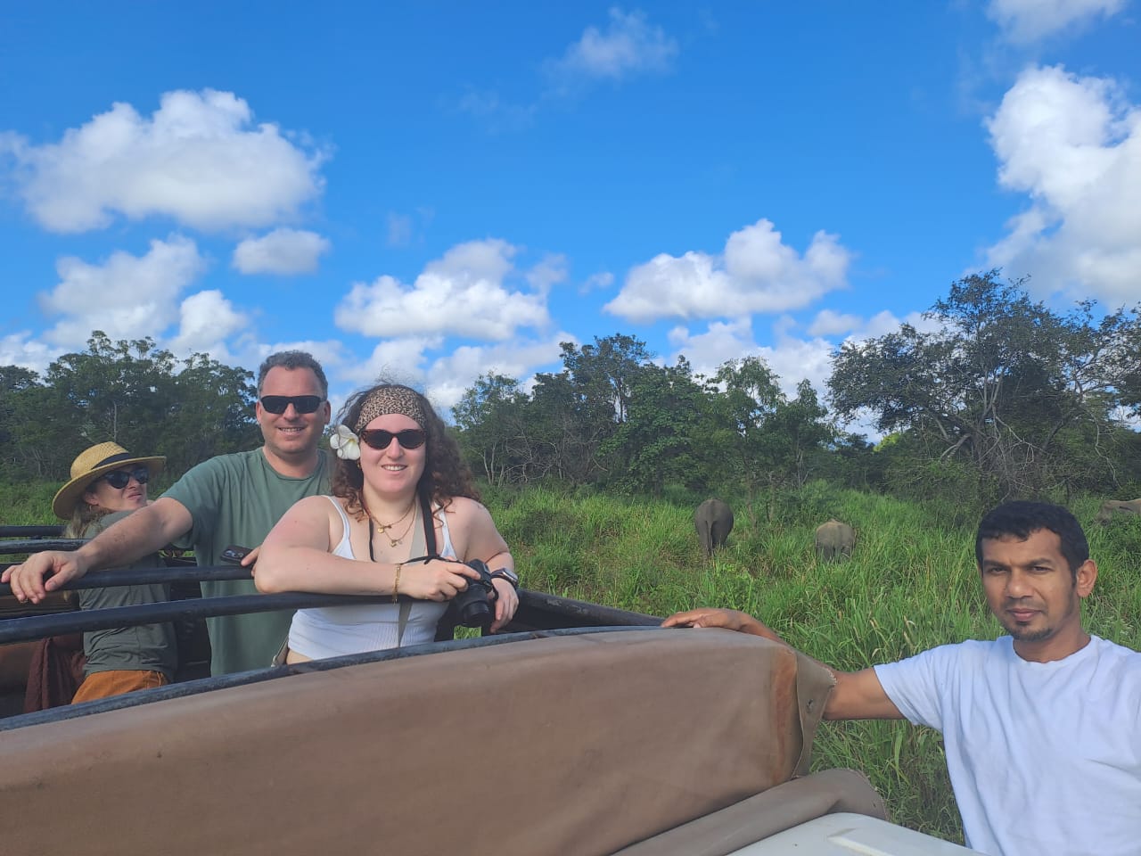 Elephant spotting on safari